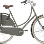 Gazelle Classic 7 RT 2026 brown