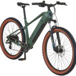 Prophete Dice 1.0 green