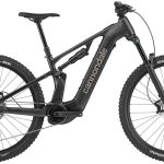 Cannondale Moterra Plus 2026 tiger LG