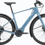Cannondale Tesoro Neo Carbon 2 (2024)