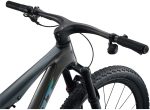 Giant Anthem Advanced SL 1 2026 rainbow black - immagine 4