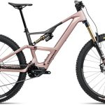 Orbea Rise Lt M10 29 Xt M8100 Sgs Shadow Plus (2025)